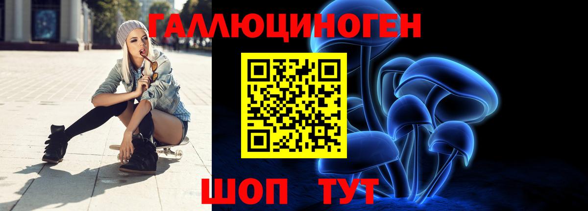 Красноармейск  Галлюциногенные грибы Psilocybine cubensis  Вход с VPN 